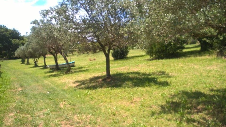 Borgo Rosso Country House B&B Sirolo Exterior photo
