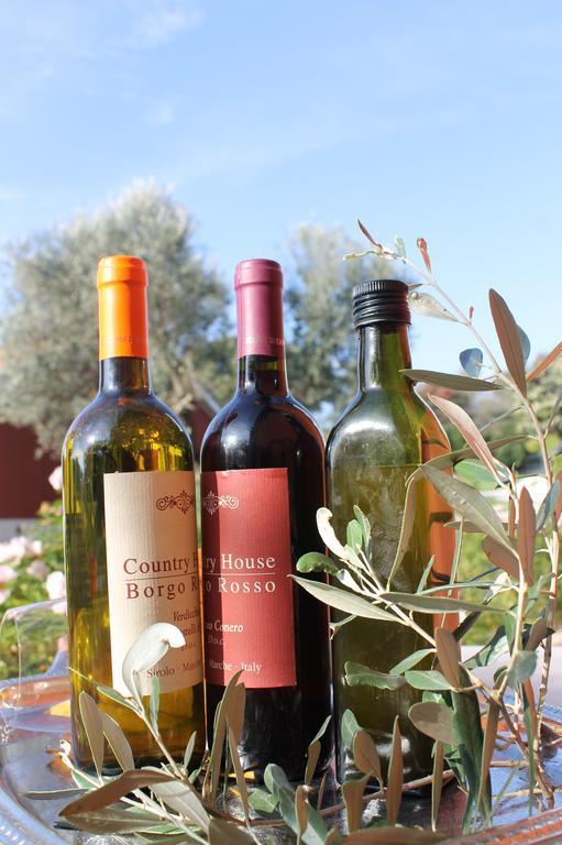 Borgo Rosso Country House B&B Sirolo Exterior photo